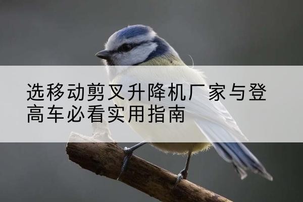松溪电动升降机厂家-选移动剪叉升降机厂家与登高车必看实用指南