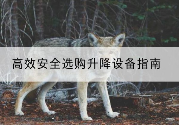 松溪升降货梯厂家推荐-*安全选购升降设备指南